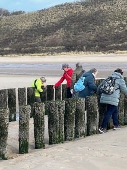 strandwandeling 2026 soms een uitdaging 