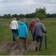 wandelen